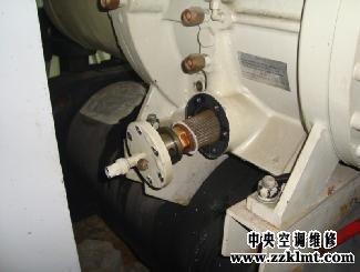 中央深夜福利电影成年人深夜福利更換油過濾芯